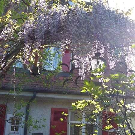 Pension Zur Rose Weil am Rhein Exteriör bild