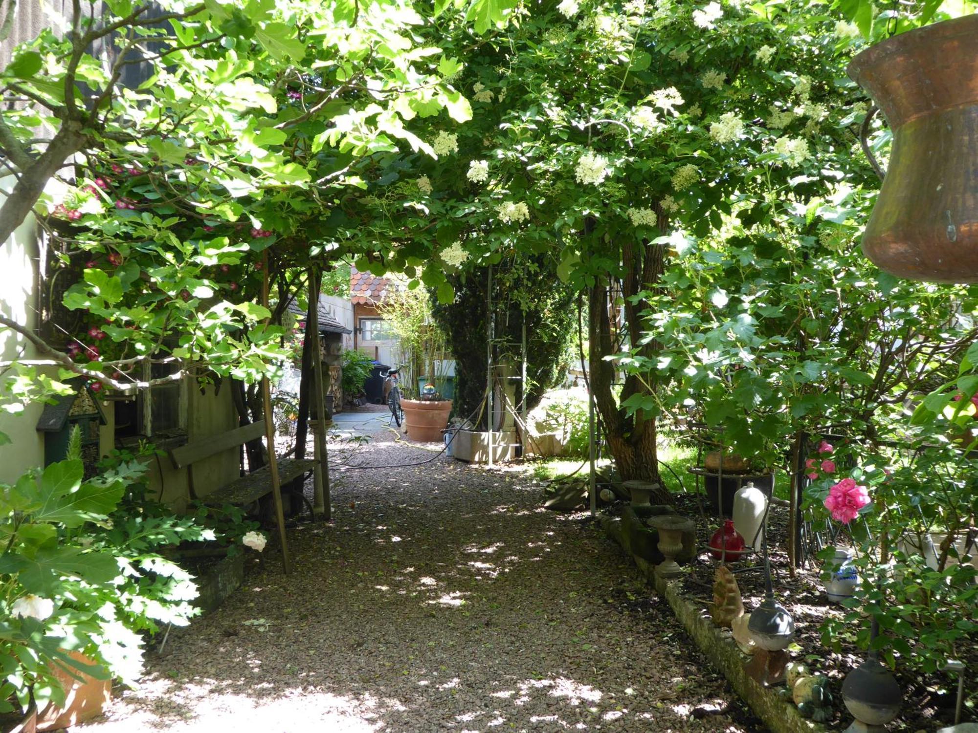 Pension Zur Rose Weil am Rhein Exteriör bild